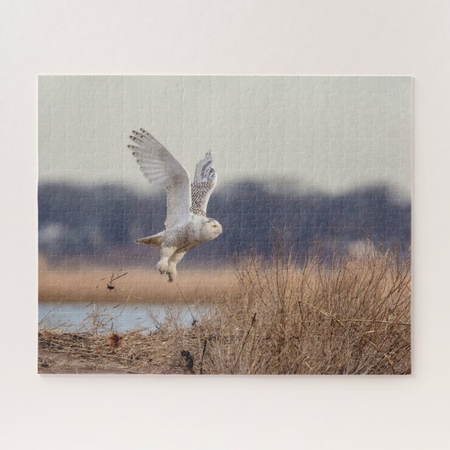 Snowy owl taking off jigsaw puzzle (Horizontal)
