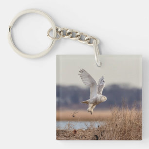 Snowy owl taking off key ring