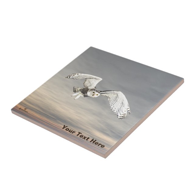 Snowy Owl Tile (Side)