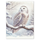 Snowy Owl Watercolor Decoupage