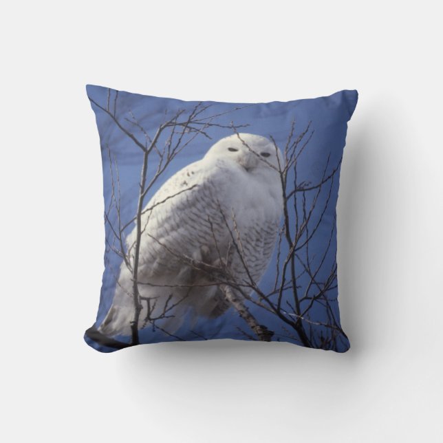 Snowy Owl, White Bird against a Sapphire Blue Sky Cushion (Front)