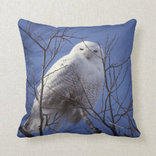 Snowy Owl, White Bird against a Sapphire Blue Sky Cushion