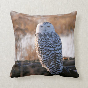 Snowy Owl Winking Cushion
