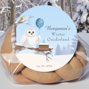 Snowy Owl Winter Onederland Birthday  Classic Round Sticker