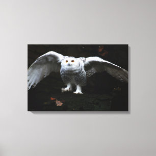 Snowy Owl With Open Wings 24x16 (60x40cm) waccnm Canvas Print