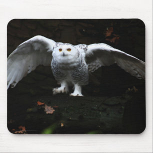 Snowy Owl With Open Wings mpcnm Mouse Mat