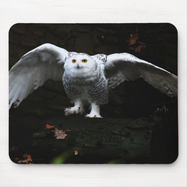 Snowy Owl With Open Wings mpcnm Mouse Mat (Front)