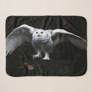 Snowy Owl With Open Wings sbcn Sherpa Blanket