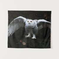 Snowy Owl With Open Wings wtcna
