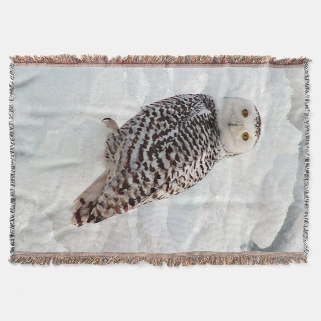 Snowy Owl woven blanket (Front)