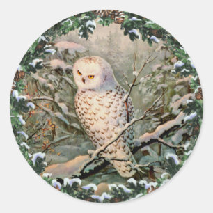SNOWY OWL & WREATH by SHARON SHARPE Classic Round Sticker