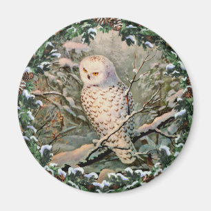 SNOWY OWL & WREATH by SHARON SHARPE Magnet