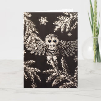 Snowy Owlet Christmas Card