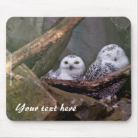 Snowy Owls Mousepad