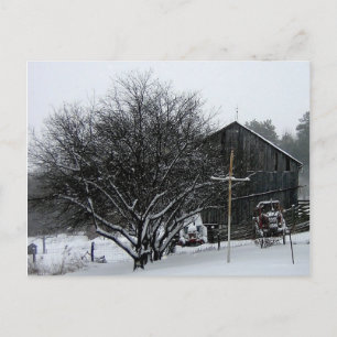 Snowy Parents' Yard Postcard