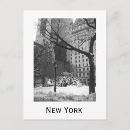 Snowy Park in New York Postcard