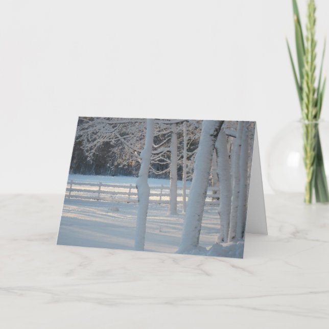 Snowy Pasture Christmas Card (Front)