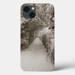 Snowy Path iPad Air Case