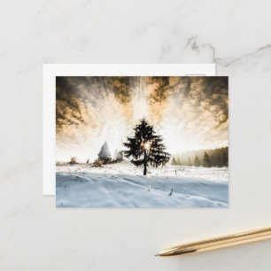 Snowy Pathway Postcard