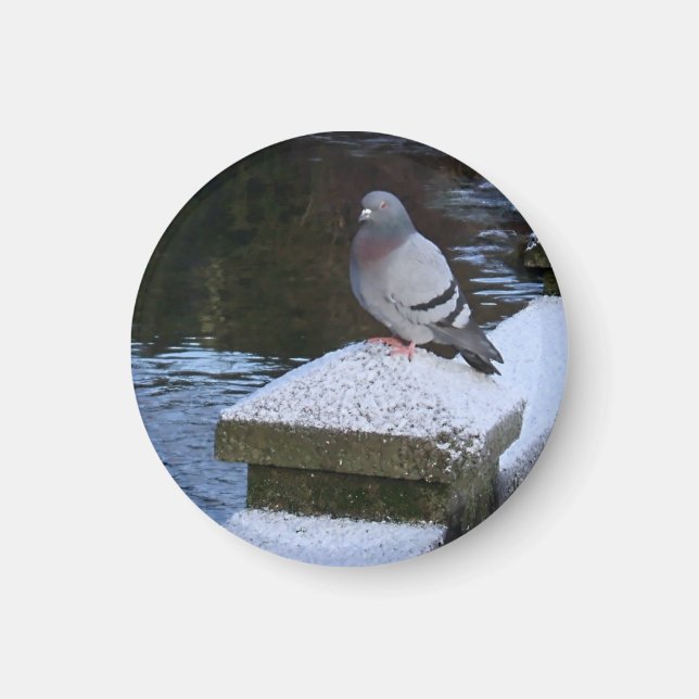 Snowy Pigeon Magnet (Front)