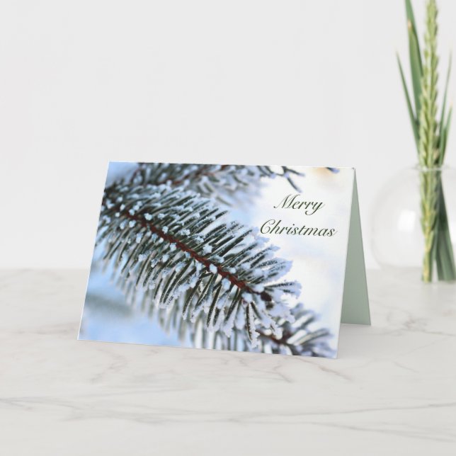 Snowy Pine Branch Christmas Holiday Card (Front)