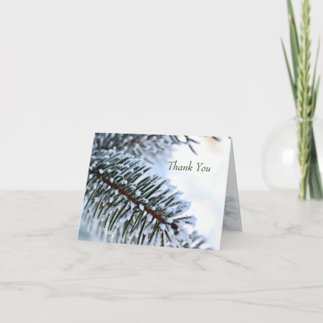Snowy Pine Branch Thank You Card (Front)