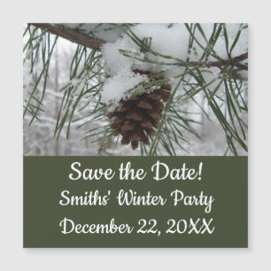 Snowy Pine Branch Winter Nature Photography