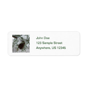 Snowy Pine Branch Winter Nature Photography