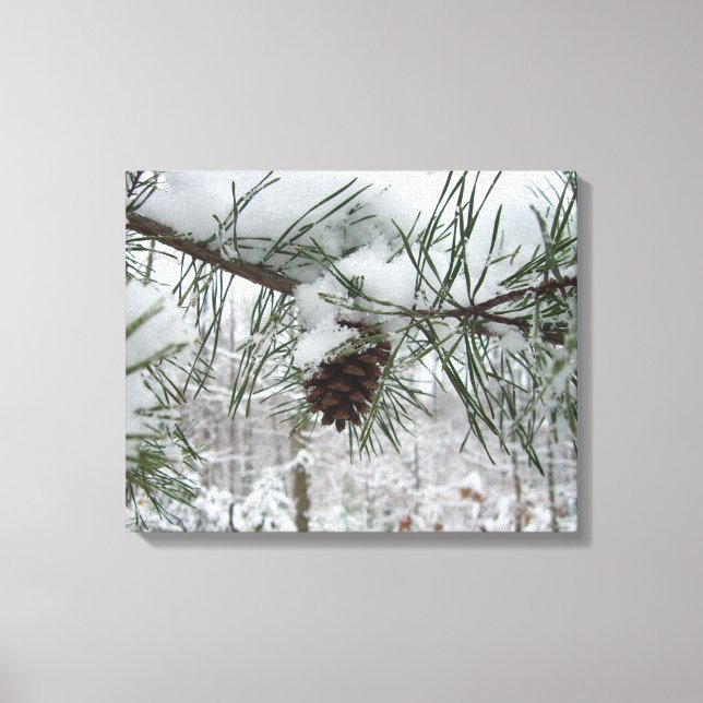 Snowy Pine Branch Winter Nature Photography Canvas Print (Front)