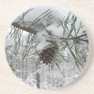 Snowy Pine Branch Winter Nature Photography Coaster