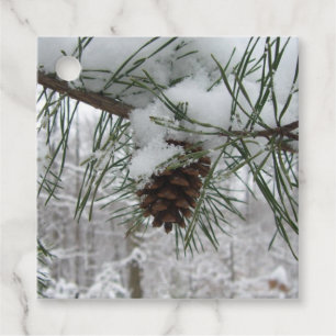 Snowy Pine Branch Winter Nature Photography Favour Tags