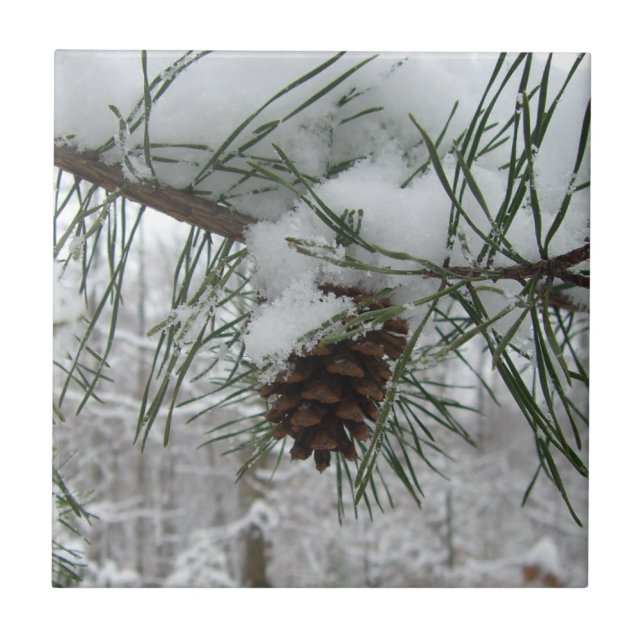 Snowy Pine Branch Winter Nature Photography Tile (Front)