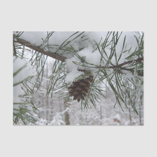 Snowy Pine Branch Winter Nature Photography Tissue Paper (Front)