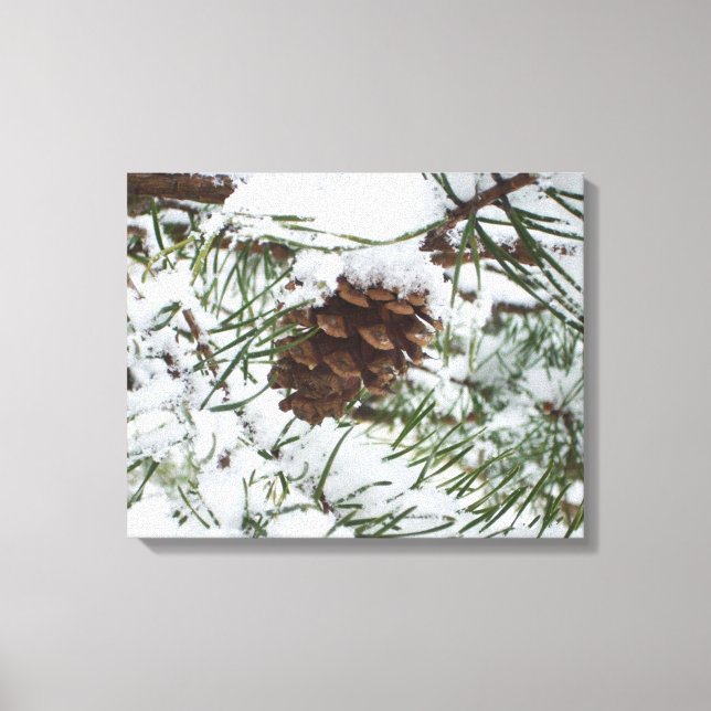 Snowy Pine Cone I Winter Nature Photography Canvas Print (Front)