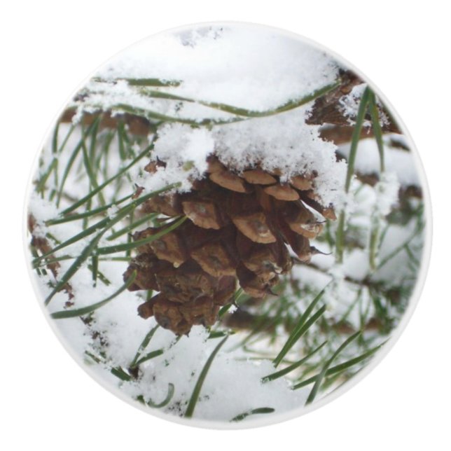 Snowy Pine Cone I Winter Nature Photography Ceramic Knob (Front)