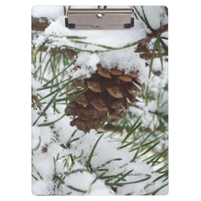 Snowy Pine Cone I Winter Nature Photography Clipboard (Front)