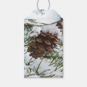 Snowy Pine Cone I Winter Nature Photography Gift Tags