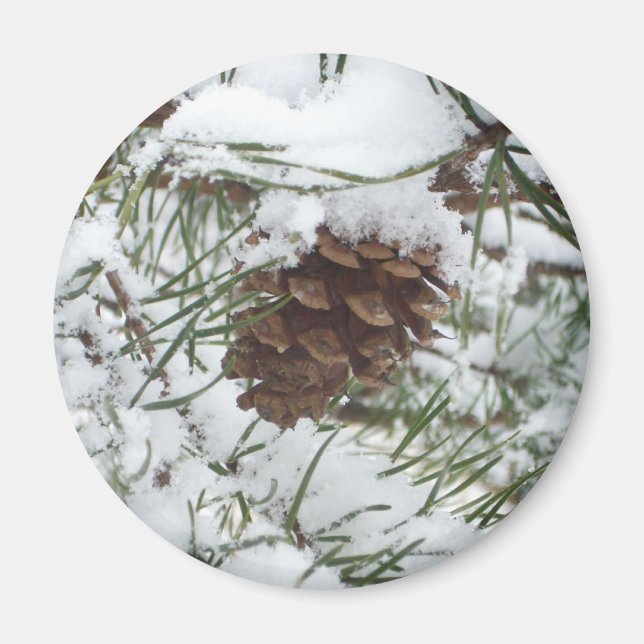 Snowy Pine Cone I Winter Nature Photography Magnet (Front)