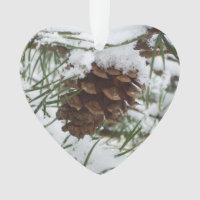 Snowy Pine Cone I Winter Nature Photography