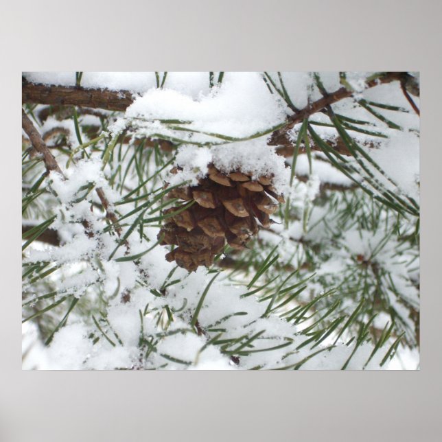 Snowy Pine Cone I Winter Nature Photography Poster (Front)