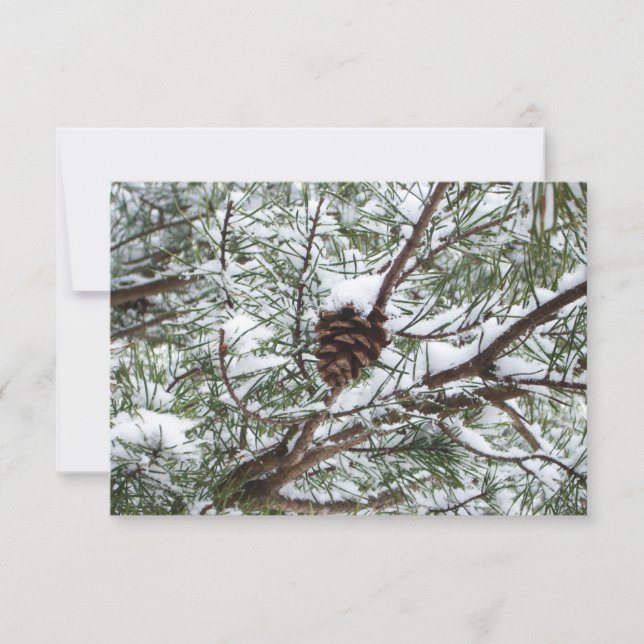 Snowy Pine Cone II Winter Nature Photography (Front)
