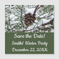 Snowy Pine Cone II Winter Nature Photography