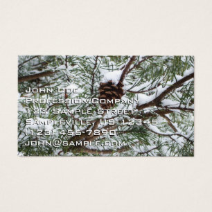 Snowy Pine Cone II Winter Nature Photography