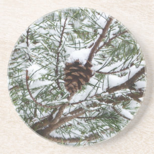 Snowy Pine Cone II Winter Nature Photography Coaster