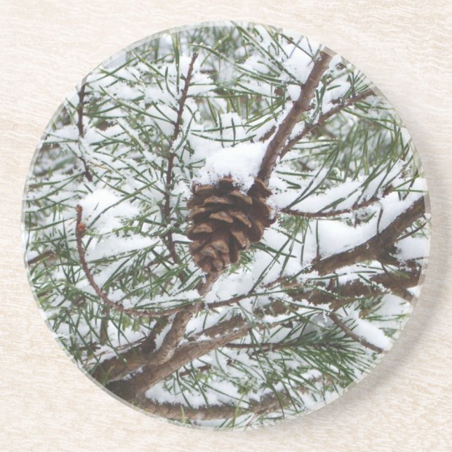 Snowy Pine Cone II Winter Nature Photography Coaster (Front)