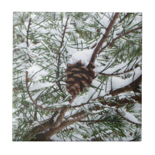 Snowy Pine Cone II Winter Nature Photography Tile