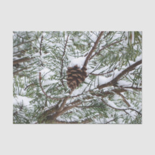 Snowy Pine Cone II Winter Nature Photography Tissue Paper
