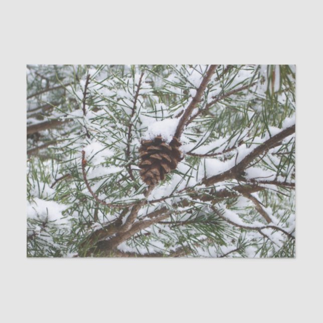 Snowy Pine Cone II Winter Nature Photography Tissue Paper (Front)