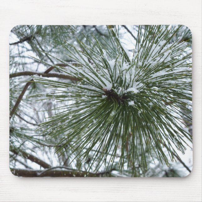 Snowy Pine Needles Winter Nature Photography Mouse Mat (Front)