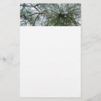 Snowy Pine Needles Winter Nature Photography